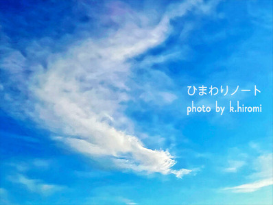 ��������ζ����