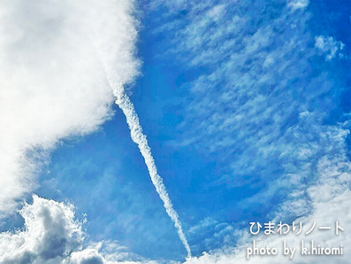 ��������������������