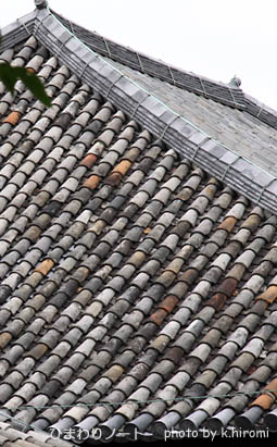 �����������ܺǸŤδ���