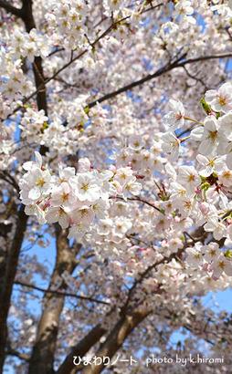 ����κ���