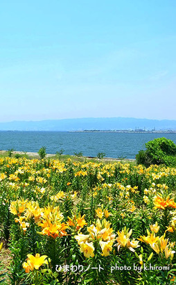 ����񽧤���