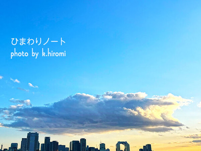 �礭�����Τ褦�ʱ�