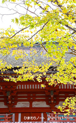 �̻����Ҥι��ա�