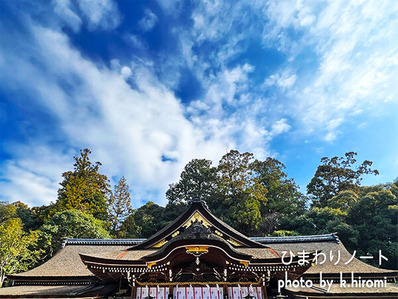 ���ͤϸ����ʤ�!?