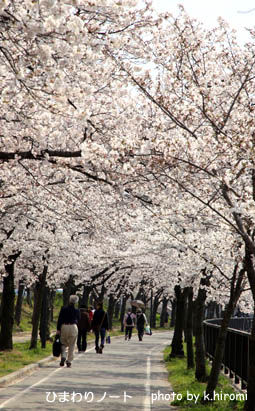 ���β�ʿ�����̤�ȴ����