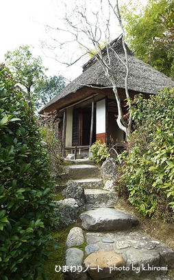 ���������첰