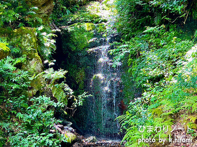 ���ФΤ褦�˵�����