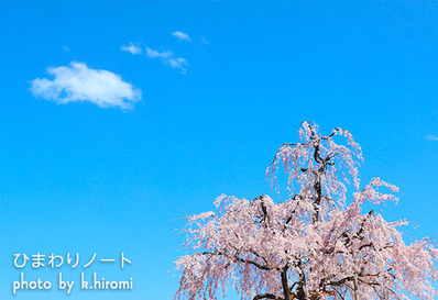 ���ܿͤο������ܤο���