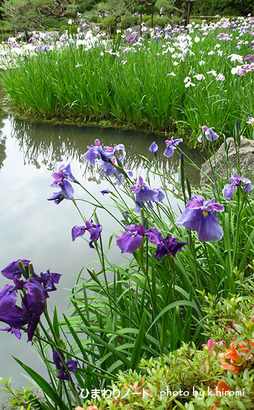 ʿ�¿��ܿ���β־Գ���