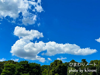 かわいい龍神雲。