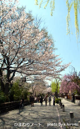 ��������κ���