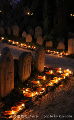 ����������¢���������ܡ�