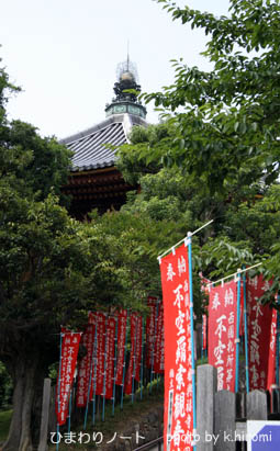 ��ʡ�������Ʋ��