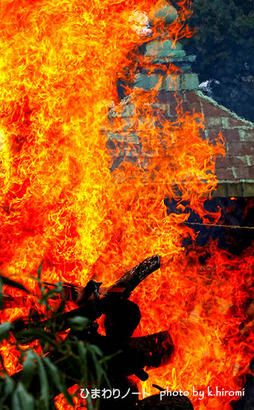 ����ư��