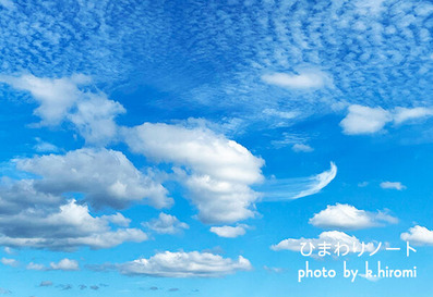 ���ˤϼ��椬�ʤ�