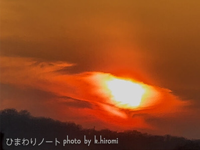 ����ǳ���Ƥ�����