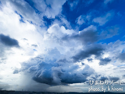 �����뱫��