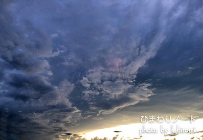 ���α��Фʤ����ݤ�!!