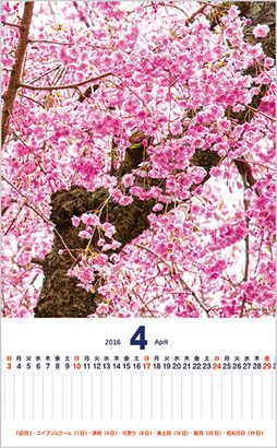 ���Υ���������