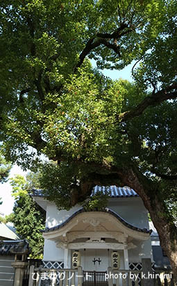 ������ҡ�