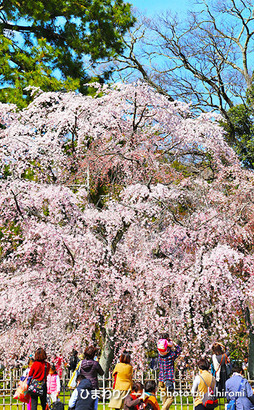 ���Ը��λ޿��