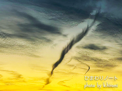 ��ζ����