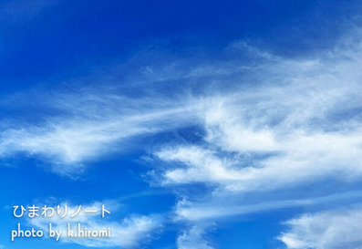 �ϵ�������