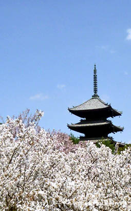 ���»��κ���