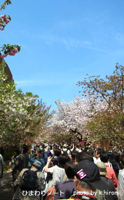 2012¤ʾ�ɤκ���