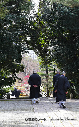 ��˷����