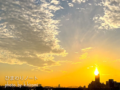 �Ի׵Ĥ�����