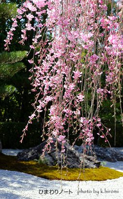 ��¢���ιȻ޿�졣