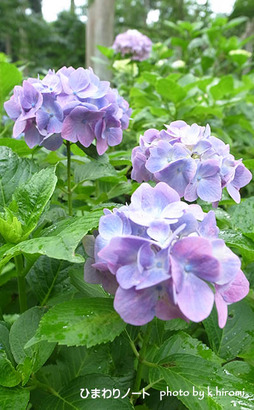 ���鱡�Τ���������