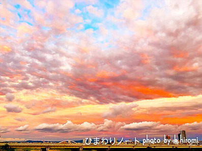 ���Ͻ�����