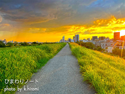 ����ˬ��