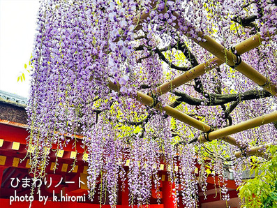 ���ɡ�������Ҥ�ƣ�β֡�