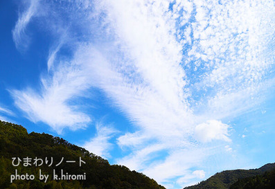 �錄�������Ρ����ܡ�