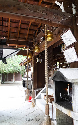 ƣ�����ҡ�