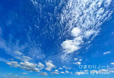 ��ĥ�� �˥åݥ�!!