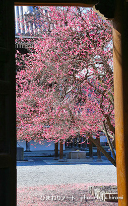 ���������ߡ�