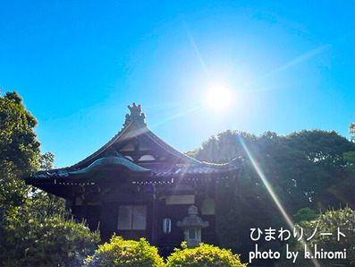 ���ɡ����Ļ����縵��������