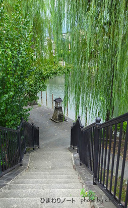 ���ĳ�ƻ������