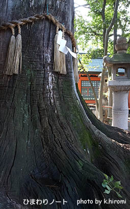 ������ҡ�