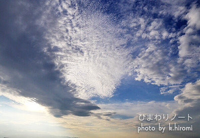 ���ʤ��� ����������