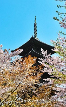 ����޽���Ⱥ���