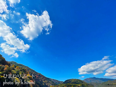 �������Ф�������