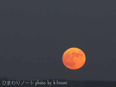 �潩��̾��