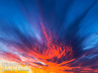 �����Υɥ饴��