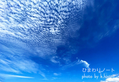 �����ޤȤ��ä����Ƥ�������