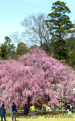 �޿�����